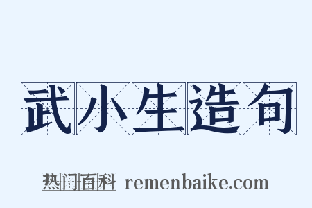 武小生造句是什么意思的图片